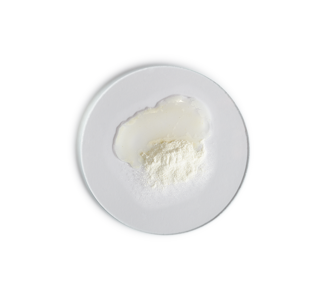 Skin Regimen Enzymatic Powder (55 GR)