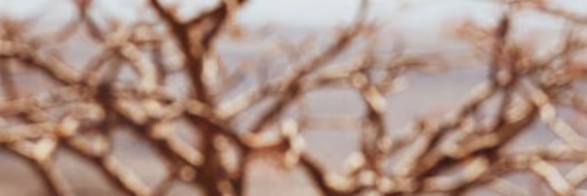 Horizontal Image