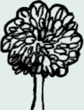 ENVIRONMENT