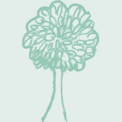 Feature Image