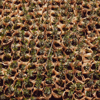 Grid Image 1